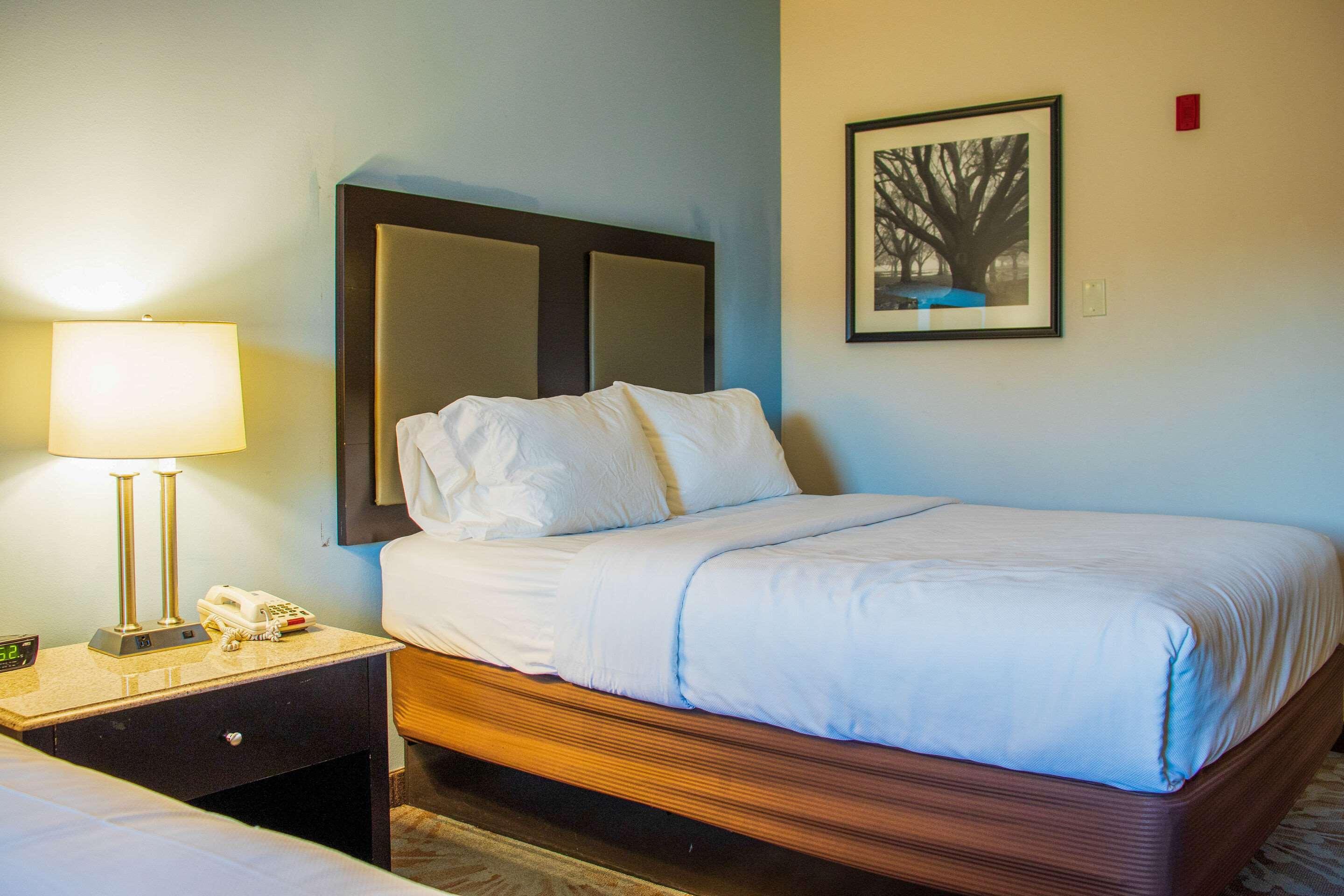 Comfort Inn & Suites Plainville-Foxboro 외부 사진